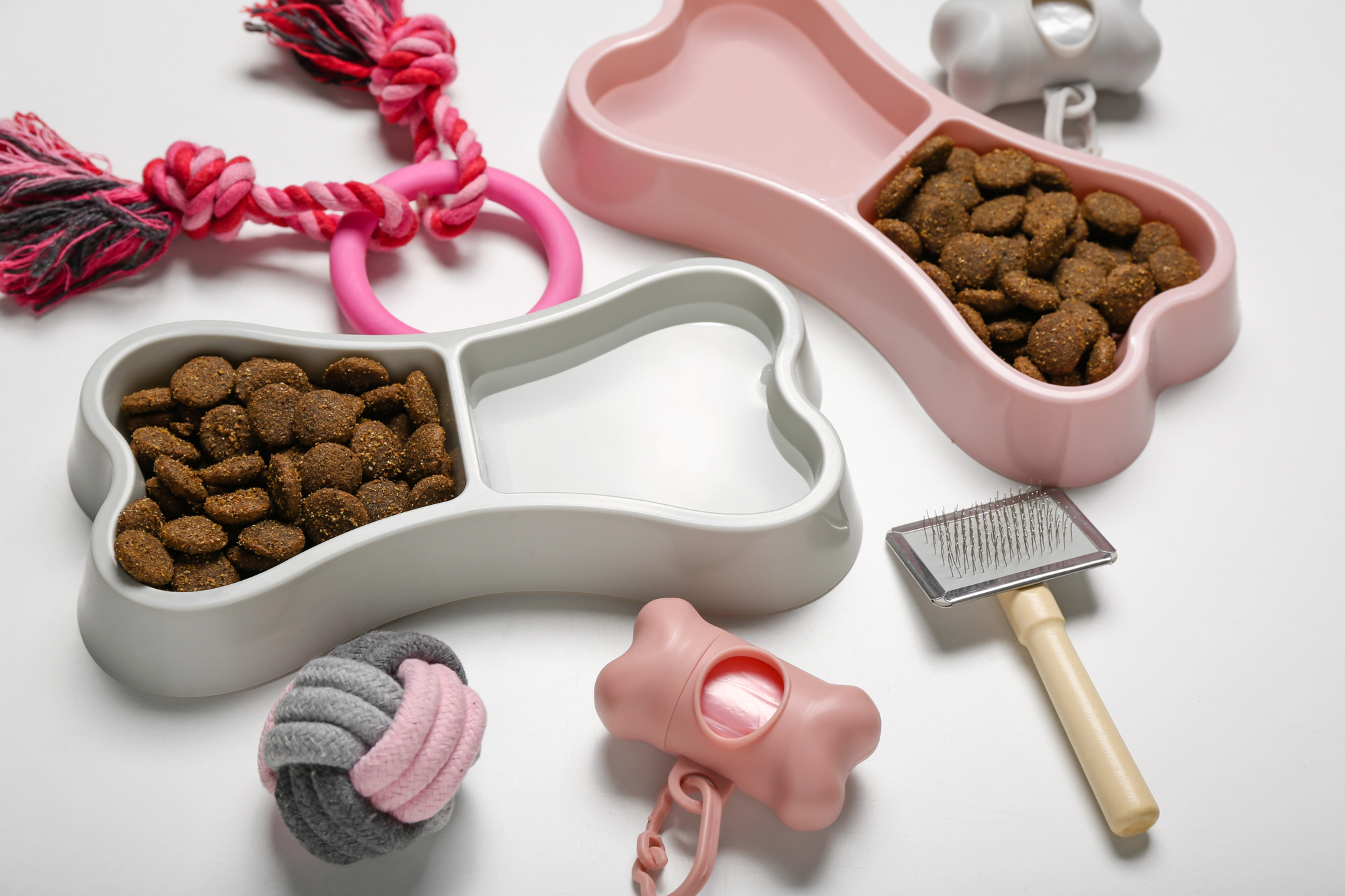 accesorios caninos